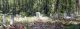<div style='color:darkgreen;'><h7 style='color:darkgreen;'><b>Gold Family Cemetery</b></h7>