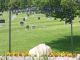 <div style='color:darkgreen;'><h7 style='color:darkgreen;'><b>Lockerby Memorial Cemetery</b></h7>