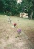 <div style='color:darkgreen;'><h7 style='color:darkgreen;'><b>Lone Oak Baptist Church Cemetery</b></h7>