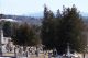 <div style='color:darkgreen;'><h7 style='color:darkgreen;'><b>Woodbine Cemetery</b></h7>
