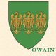 Prince Llewelyn ap Owain